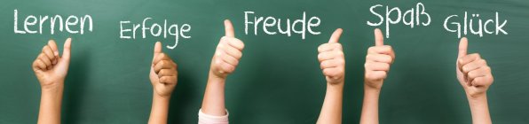 Lernerfolg Lernerfolg